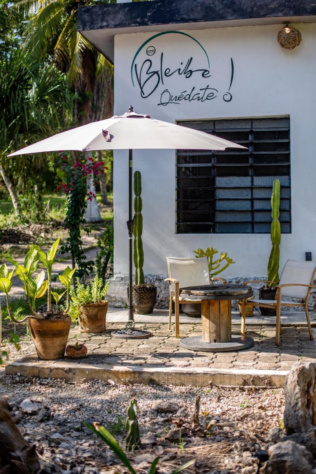 Bleibe- Quedate! Bacalar Exteriér fotografie